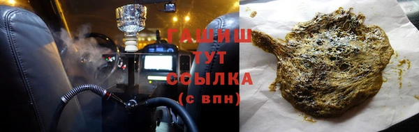 сатива Армянск
