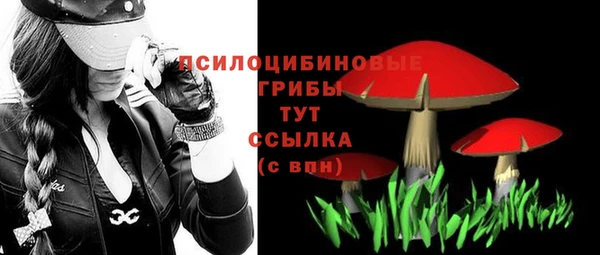 apvp Балахна